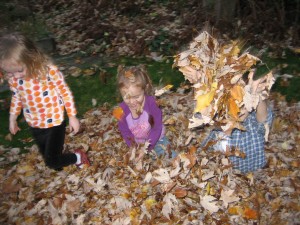 Jumping in the leaves Mira, Macy and Wyatt jumping in the leaves!